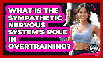 What Is The Sympathetic Nervous System