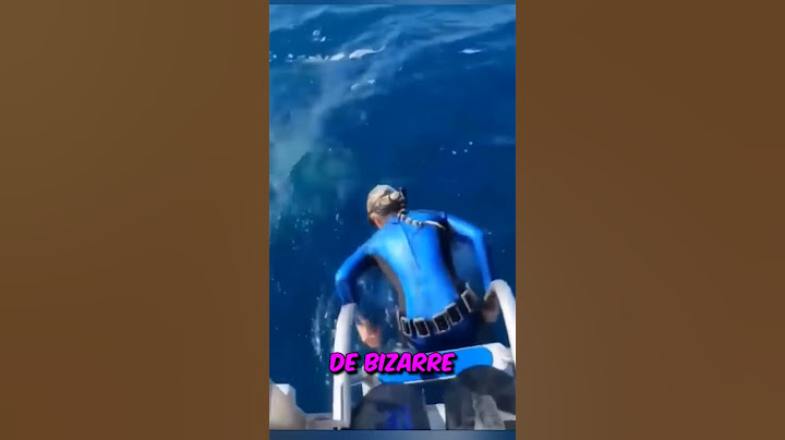 Un Requin A Failli Mordre Cette Femme 😱