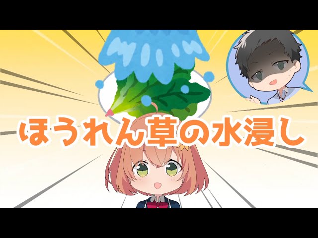 【は？】ほうれん草の水浸しｗｗｗｗｗｗｗｗｗｗｗのサムネイル