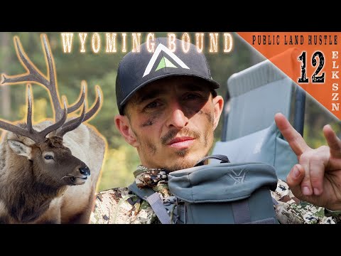 WYOMING Archery Elk