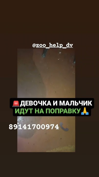 🚨ДЕВОЧКА И МАЛЬЧИК ИДУТ НА ПОПРАВКУ🙏 - YouTube