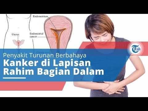 Video: Strip Endometrium: Ukuran Rata-Rata, Gejala Penebalan, & Lainnya