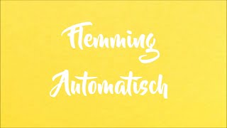 Flemming - Automatisch (Lyrics Video) chords
