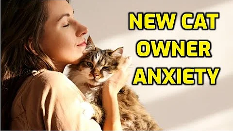 How Long Does It Take For A Cat To Adjust To A New Owner?