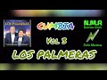 LOS PALMERAS MINI MIX &quot;CUMBIA&quot; VOL 3 (2020) MUSICA N.M.R BUENOS AIRES