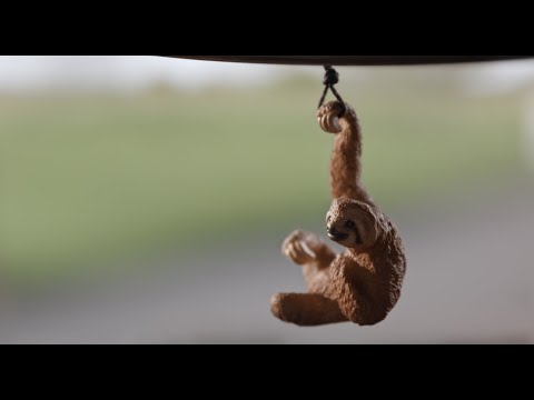 VFX-Breakdown - Wie schwer ist ein Elefant?