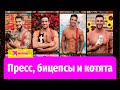 Пресс, бицепсы и котята – вышел ежегодный австралийский календарь с пожарными