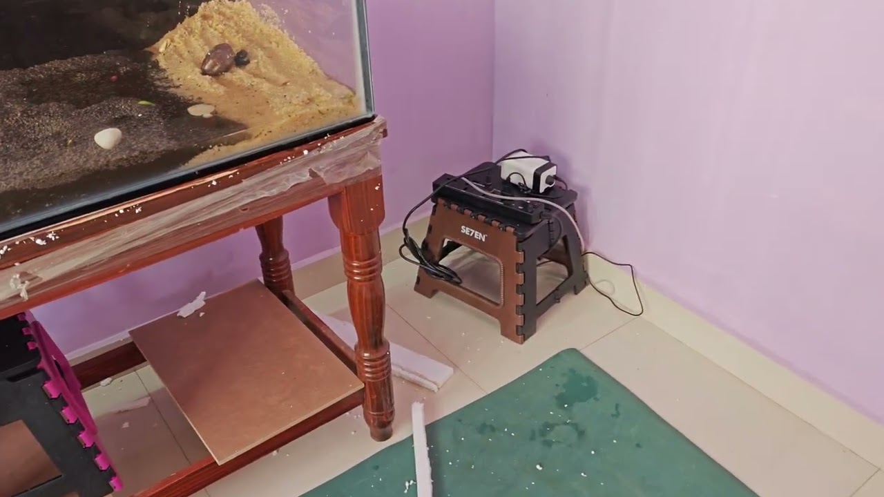 Our New Fish Tank Makeover! 🐠🐟 | New Changes Vlog!