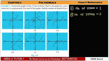 Look at the graphs in Fig. 2.9 given below. Each is the graph of y = p(x),where p(x) is a polynomial