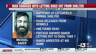 Grayson County man arrested for letting dogs out of shelter, resulting in one death