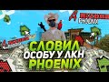 🔥СЛОВИЛ ОСОБНЯК У ЛКН & ЛОВЛЯ ДОМОВ НА ARIZONA PHOENIX🔥