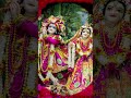कृष्ण भजन # crazy shristi 19 #trending #ytshorts # song# bhaktisong #love