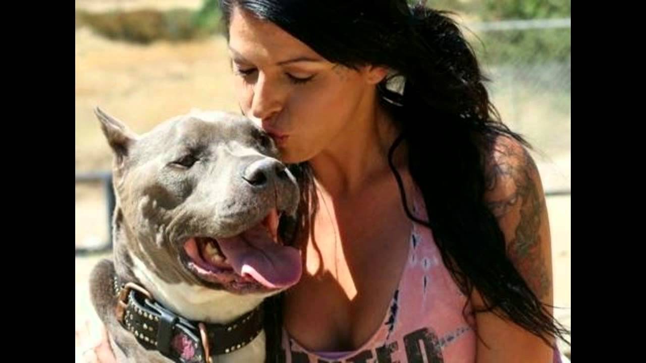 Heartbreak and Euphoria for Mama Dog and Her Pups - YouTube 