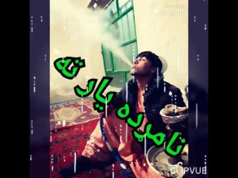 نوره مینه نکوم