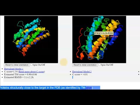 I-Tasser Software for Predicting Protein&rsquo;s Structure and Function