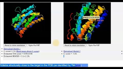 I-Tasser Software for Predicting Protein