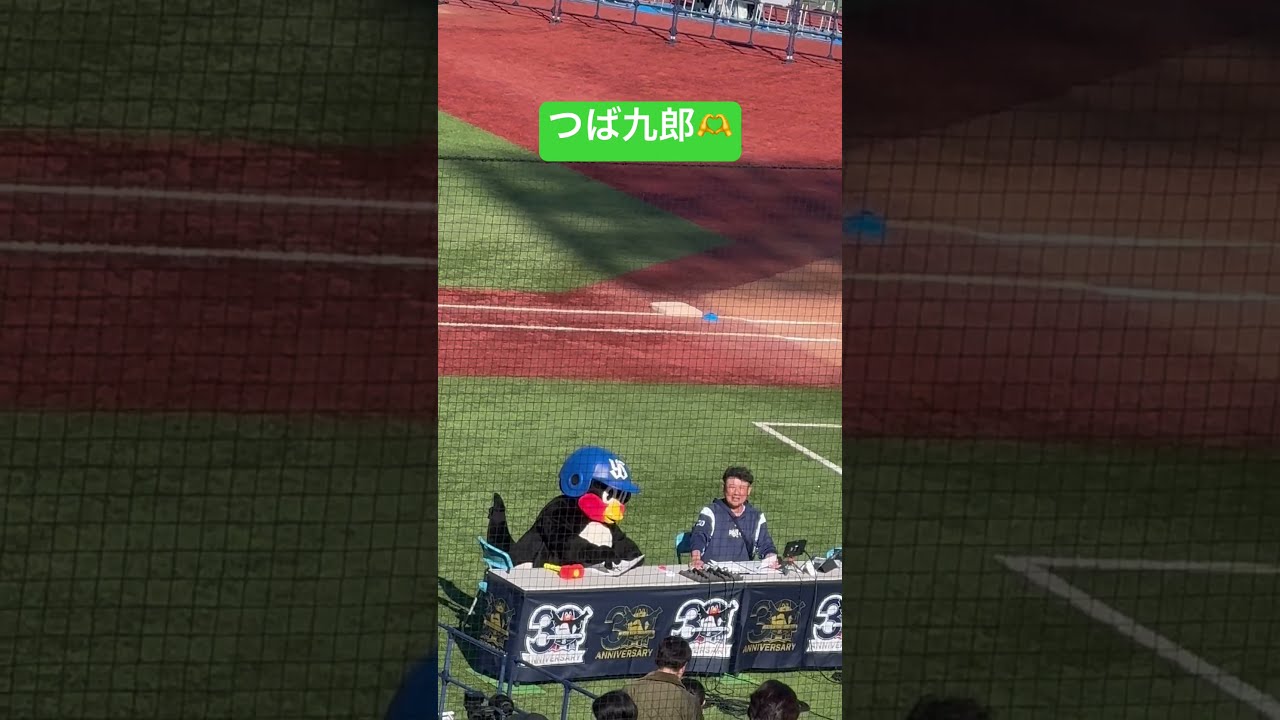 2024つば九郎ファン感謝DAYセットつば九郎サイン入りお座りつば