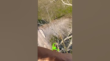 Removing a lightning struck tree! #lightning #treework #climbing