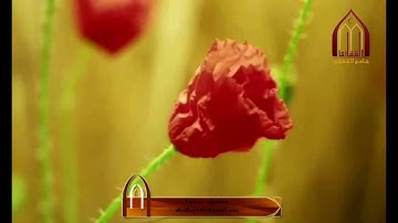 من اروع التلاوات بصوت الشيخ ناصر الحمد استمع لها