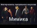 Мастер-классы театрального искусства. Урок 5-й. Мимика