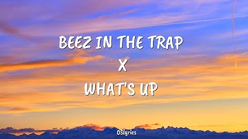 Nicki minaj- Beez in the trap x what