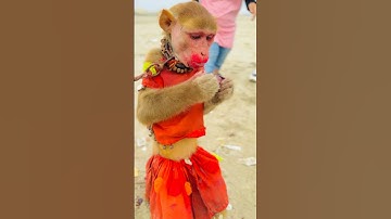 Eid Mubarak ❤️ #shorts #trending #youtubeshorts #viralvideo #summerofshorts #realalikhan