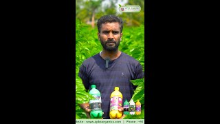 Our Mulberry Farmer Mr. VarunKumar from Bengaluru South shares His Results!