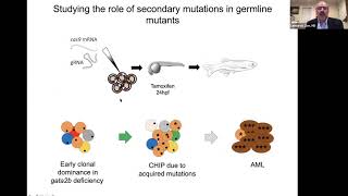 On the Way to Pediatric Leukemia - Following Clonal Dynamics with Cellular Barcoding