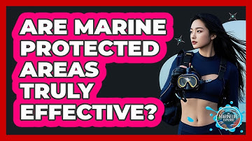 Are Marine Protected Areas Truly Effective? - The Marine Life Explorer