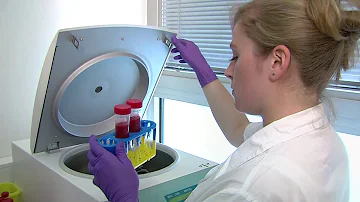 Jak vzniká Výzkumný problém?