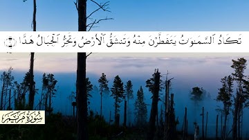 وقالوا اتخذ الرحمن ولدا - سورة مريم 88-95