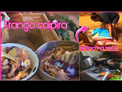 ALMOÇO COM FRANGO CAIPIRA + ROTINA NA ROÇA | livia marques vida na roça.