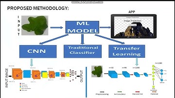 ELITE ENGINEERS SIH | Medicinal Plants | Recognition | Mepco | Smart India Hackathon | 2023