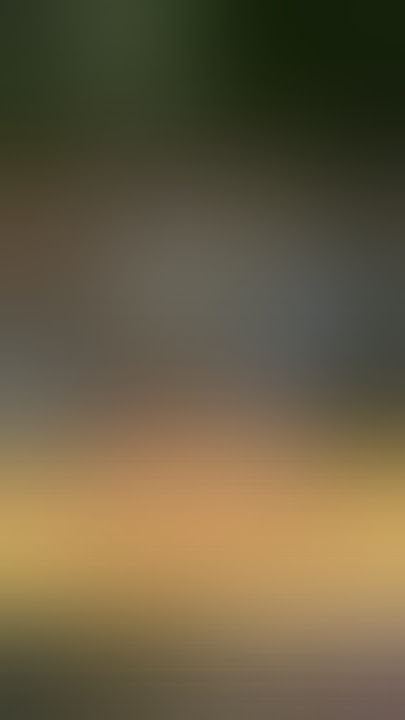 telah terjadinya berkelahi cewek duel 🤧