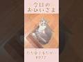 我が家のおひいさまイヴ#072。成長のひとコマ…ただ愛でるだけ #shorts