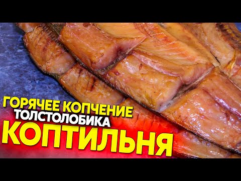 Копчение толстолобика в домашних условиях видео