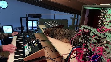 Jamuary #8 - Press Ahead (ft Octatrack, Cat, Virus TI, Eyesy)