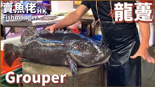 賣魚佬Fishmonger Hk [生劏龍躉￼]