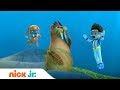 Щенячий патруль | Случай с моржом | Nick Jr. Россия