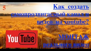 Раскрутить YouTube-канал БЕЗ ВЛОЖЕНИЙ? бесплатная ПОШАГОВАЯ ИНСТРУКЦИЯ монтаж реального видео