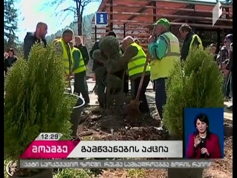 ბორჯომში გამწვანების მასშტაბური აქცია მოეწყო