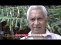 Hablemos de Cumaral
