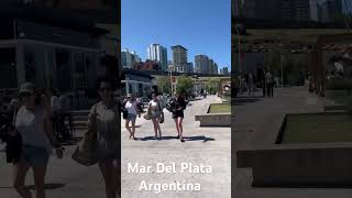 Sunny day walk the Beautiful beach Mar Del Plata Buenos Aires Argentina #passportbros #walkingvideo
