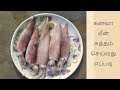 கனவா மீன் சுத்தம் செய்வது எப்படி | How to Clean a Squid | Kanava Cleaning in Tamil