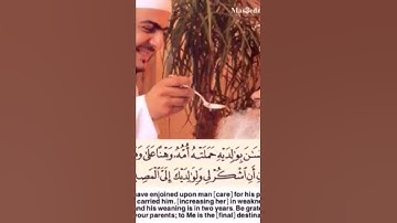 تلاوة رائعة للقارئ مشاري البغلي  سورة لقمان