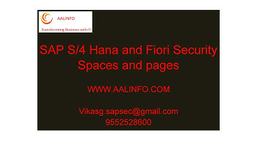 SAP Fiori Spaces and Pages uses in Role