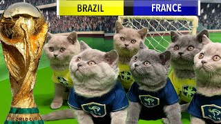 LETS UNLEASH CATS KITTENS WORLD CUP GAME 6! SEMIFINALS by British blue cats 231,742 views 1 month ago 12 minutes, 50 seconds