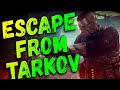 ОБНОВЛЕННОЕ БОЛОТО ESCAPE FROM TARKOV