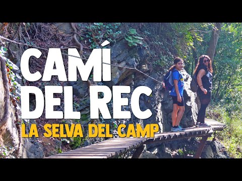 CAMÍ DEL REC | LA SELVA DEL CAMP [Subtitulado]