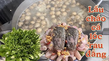 Trời Mưa bão nấu nồi lẩu cháo cá lóc ăn thì còn gì bằng #21 Như Nguyễn_cuộc sống miền quê ￼